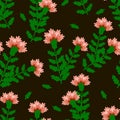 Pink carnations with green leaves on a dark brown background